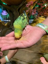 -酷嗒动物文化乐园(cutezoo西溪乐天城店)