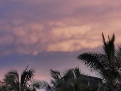 -西秀海滩公园