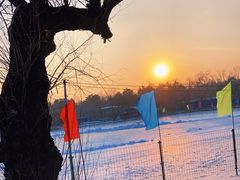 -长春市南湖公园