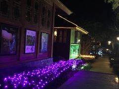 -洪湖悦兮半岛国际温泉度假村