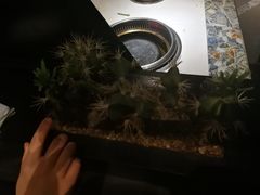 -钱小奴创意自助餐厅·原切谷饲安格斯畅吃(苏州昆山招商花园城店)