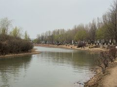-丁香湖公园
