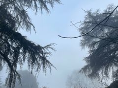 -南山植物园