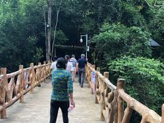 -修水东浒寨风景区