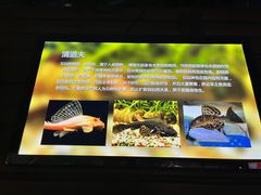 -太平洋海底世界