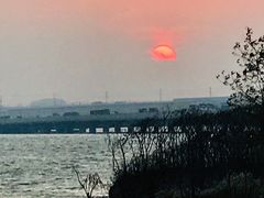 -丁香湖公园