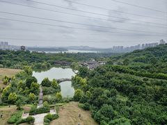 -张坝桂圆林公园