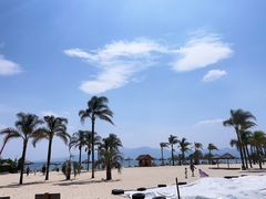-月亮湾湿地公园
