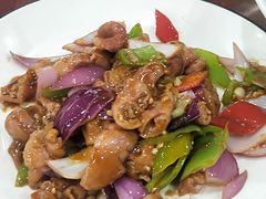 -邵年鸽(杨庄店)