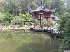 -广州神农草堂中医药博物馆