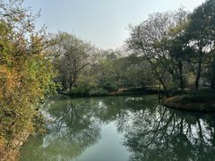 -西溪国家湿地公园