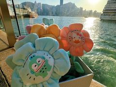 -玩具反斗城(海港城店)