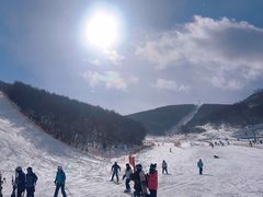 -多乐美地滑雪场