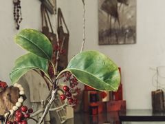 -一朵花事咖啡厅(山原色民宿店)