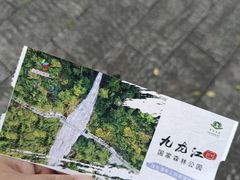 -九龙江国家森林公园