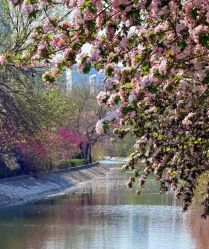 -Cindy Jewelry·钻戒·彩色宝石