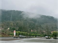 -武陵山森林公园