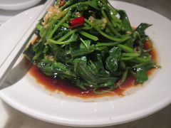 -佬肥猫(国华广场店)