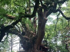 -安溪清水岩