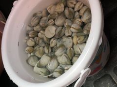 -红树林天天赶海