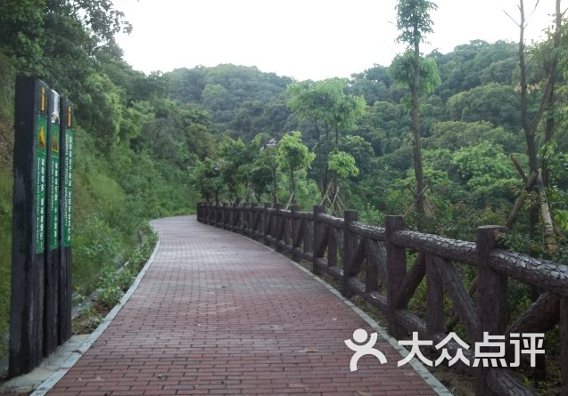 銀湖山郊野公園-圖片-深圳周邊遊-大眾點評網