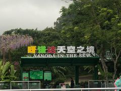 -呀诺达热带雨林