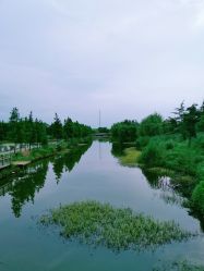 -水八仙生态园