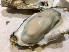 -大富蚝乌东哥饭店·石锅鱼杂·柠檬鸭(革新路店)