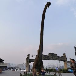 点击看大图 -恐龙探索乐园(磁器口店)