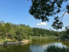 -塘沽森林公园
