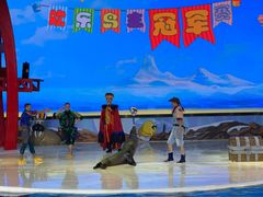 -三亚海昌梦幻海洋不夜城