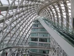 -凤凰中心