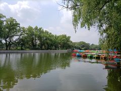 -北陵公园