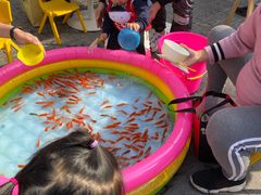 -婴智贝佳蒙特梭利早教托育中心(杨浦店)