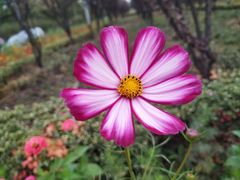 -共青国家森林公园-南大门停车场