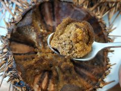 -海胆小馆(东北水饺·春柳店)