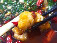 来凤鱼-东吴霸王兔(松青路店)