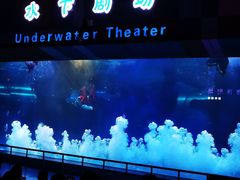 -泉城欧乐堡海洋极地世界