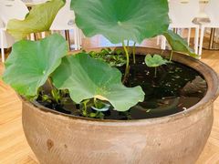 -813芭依珊 BAESAn(皇冠十畝地店)