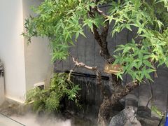 -大榕树下顺德菜(融创茂店)