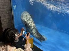 -成都浩海立方海洋公园