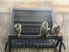 -黔灵山公园