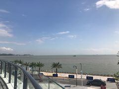 -野狸岛
