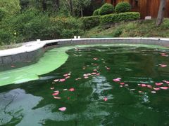 -咸宁万豪温泉谷度假区