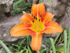 -南通博物苑-崇川人民公园