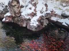 -水磨沟公园