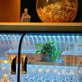 打工人之光！！预制菜克星！！就是ta了！！