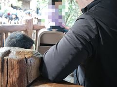 -迪士尼小镇