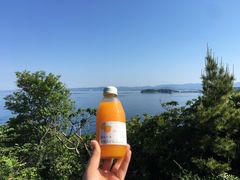 -南紀白浜 浜千鳥の湯 海舟