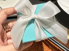 -Tiffany & Co.蒂芙尼
(南京德基广场店)